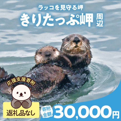 ラッコを見守る岬「きりたっぷ岬」周辺の環境整備　30000円分 返礼品なし_H0028-013 2258532 - 北海道浜中町