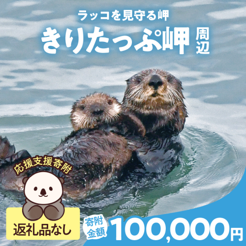 ラッコを見守る岬「きりたっぷ岬」周辺の環境整備　100000円分 返礼品なし_H0028-015 2258534 - 北海道浜中町
