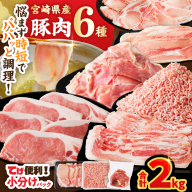 ≪宮崎県産≫豚肉6種＼てげスゲーセット／合計2kg 肉 豚 豚肉 おかず 国産_T009-030