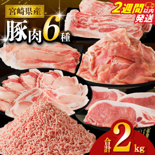 【2週間以内発送】≪宮崎県産≫豚肉6種＼てげスゲーセット／合計2kg 肉 豚 豚肉 おかず 国産_T009-030-2W 2258537 - 宮崎県都農町