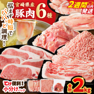 【2週間以内発送】≪宮崎県産≫豚肉6種＼てげスゲーセット／合計2kg 肉 豚 豚肉 おかず 国産_T009-030-2W