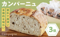 　【冷凍】カンパーニュ3種セット (プレーン・いちじく・五穀) 愛媛県大洲市/株式会社アライ 冷凍パン ハードパン 食事パン 朝食 ベーカリー 冷凍 [AGAY050]