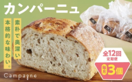 【全12回定期便】【冷凍】カンパーニュ3種セット (プレーン・いちじく・五穀) 愛媛県大洲市/株式会社アライ 冷凍パン ハードパン 食事パン 朝食 ベーカリー 冷凍 [AGAY053]