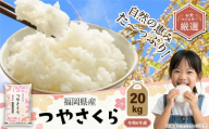 【R6年産米9月末で受付終了】【令和6年産】福岡県産つやさくら 20kg 岡垣町ふるさと納税返礼品 米 コメ こめ お米 精米
