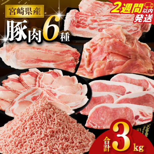 【2週間以内発送】≪宮崎県産≫豚肉6種＼てげスゲーセット／合計3kg 肉 豚 豚肉 おかず 国産_T009-031-2W 2258625 - 宮崎県都農町