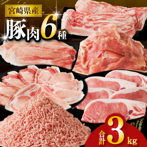 【2週間以内発送】≪宮崎県産≫豚肉6種＼てげスゲーセット／合計3kg 肉 豚 豚肉 おかず 国産_T009-031-2W 2258625 - 宮崎県都農町