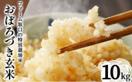 令和7年産!ファーム坂口の特別栽培米 おぼろづき玄米 10kg(10kg×1) | 北海道岩見沢産 おぼろづき 玄米 5kg 10kg 15kg 30kg 北海道 岩見沢市
