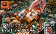 【9/6（土）,7（日）幕張イベント限定！】発酵ジンジャーエール 3種×2本ギフトセット　【11100-1927】