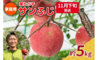 【2025年11月下旬発送】りんご 5kg 程度 葉とらず サンふじ 11月 12月 家庭用 青森産 りんご ふじ 【 サンふじりんご 葉とらずりんご リンゴジュースやお菓子作りにも くだものフルーツ果物林檎約5kg 】