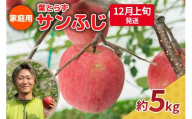【2025年12月上旬発送】りんご 5kg 程度 葉とらず サンふじ 11月 12月 家庭用 青森産 りんご ふじ 【 サンふじりんご 葉とらずりんご リンゴジュースやお菓子作りにも くだものフルーツ果物林檎約5kg 】