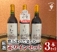 飲み比べて楽しむ厳選赤ワイン3本 北海道ワイン 池田町 十勝ワイン 山幸 清見 清舞 赤ワイン
