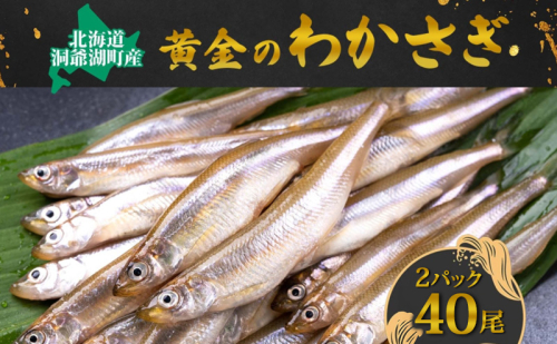 洞爺湖町産 黄金のわかさぎ 20尾×2P 計40尾 北海道産 ワカサギ わかさぎ 川魚 魚介類 産地直送 冷凍 お取り寄せ グルメ 料理 天ぷら フライ とうやマルシェ 北海道 洞爺湖町 2259567 - 北海道洞爺湖町
