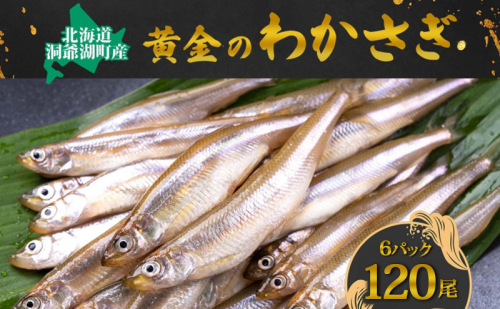 洞爺湖町産 黄金のわかさぎ 20尾×6P 計120尾 北海道産 ワカサギ わかさぎ 川魚 魚介類 産地直送 冷凍 お取り寄せ グルメ 料理 天ぷら フライ とうやマルシェ 北海道 洞爺湖町 2259568 - 北海道洞爺湖町
