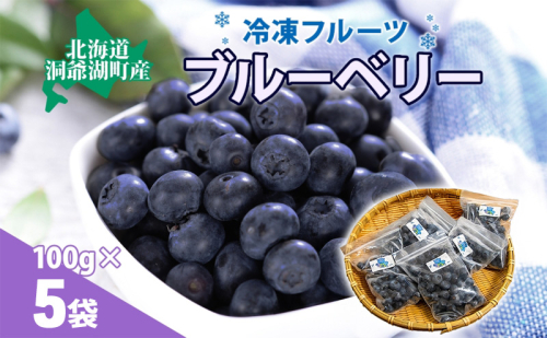 役に立ちます 冷凍カット果物 ブルーベリー100g×5袋 9月初旬よりお届け 冷凍 カット 果物 小分け 時短 弁当 簡単 調理 便利  国産 北海道 洞爺湖町 2259576 - 北海道洞爺湖町