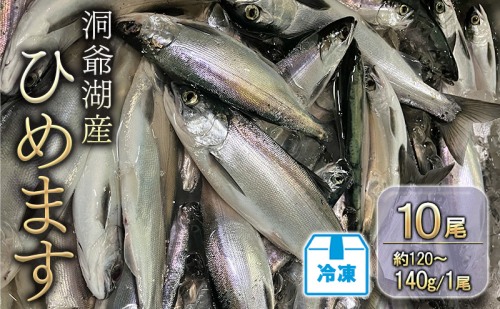 洞爺湖産ひめます10尾(約120~140g/1尾)冷凍 2259582 - 北海道洞爺湖町
