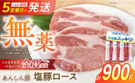 《日本農業新聞一村逸品大賞にて金賞受賞》 塩豚ロース 900g 豚肉 小分け 薄切り ロース 冷凍 白川町 / 藤井ファーム [AWAF053]