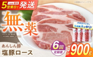 【6回定期便】《金賞受賞》 塩豚ロース 900g 計5.4kg 豚肉 小分け 薄切り ロース 白川町 / 藤井ファーム [AWAF055]