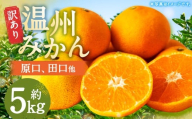 【訳あり】 長崎県時津町産 温州みかん （原口、田口他） 約5kg （2L～3Lサイズ） 【年内発送：2025年11月下旬～12月下旬迄発送予定】 5キロ 蜜柑 みかん 柑橘 果物 果実 フルーツ 国産 九州 長崎県 時津町 常温