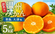 【訳あり】 長崎県時津町産 温州みかん （青島、大津他） 約5kg （2L～3Lサイズ） 【2025年12月下旬～2026年1月下旬迄発送予定】 5キロ 蜜柑 みかん 柑橘 果物 果実 フルーツ 国産 九州 長崎県 時津町 常温
