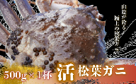 [配送日時指定可能!]松葉ガニ 500g[活]松葉ガニ マツバガニ 冬の旬。贅沢の極みをご家庭で。松葉ガニ 松葉カニ タグ付き カニ 蟹 新鮮 旬 プレゼント 贈与 お祝い事 贈り物 祝辞 隠岐 西ノ島町