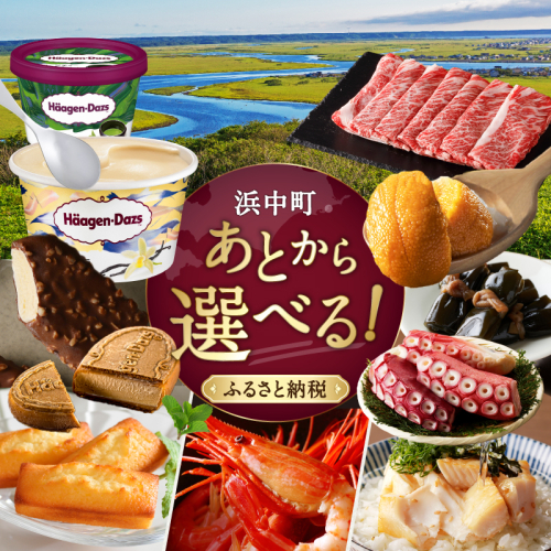 あとからセレクト【ふるさとギフト】 寄附8万円相当_H-gift008 2260109 - 北海道浜中町