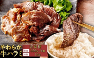 【12回定期便】【訳あり】やわらか 牛ハラミ（サガリ）肉 極旨秘伝醤油タレ漬け（300g×4袋）ハラミ 牛肉  個包装 焼肉 JS-117 (AS-0134-0)