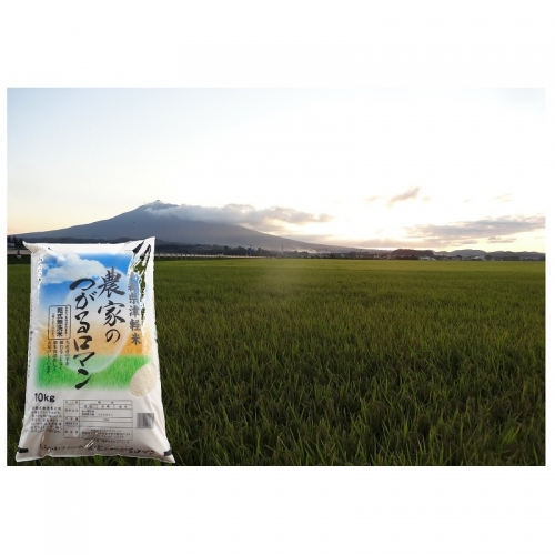 乾式無洗米つがるロマン10kg(精米)
