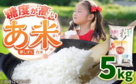 【先行予約】令和7年産 新米 あ米（あまい）夢しずく 白米 5kg 通常パック /有限会社イッツデモ [UDZ005]
