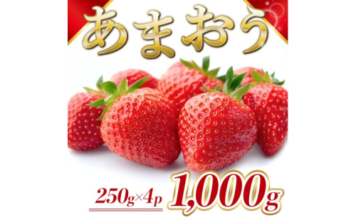 苺 福岡県産 あまおう 1000g(4パック) 先行予約 発送予定:2026年2月より順次発送 いちご イチゴ 果物 ※配送不可:離島 2260487 - 福岡県大刀洗町