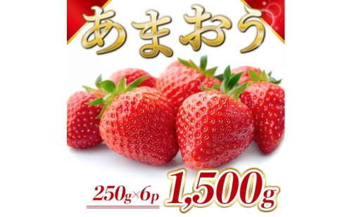 苺 福岡県産 あまおう 1500g(6パック) 先行予約 発送予定:2026年2月より順次発送 いちご イチゴ 果物 ※配送不可:離島 2260488 - 福岡県大刀洗町