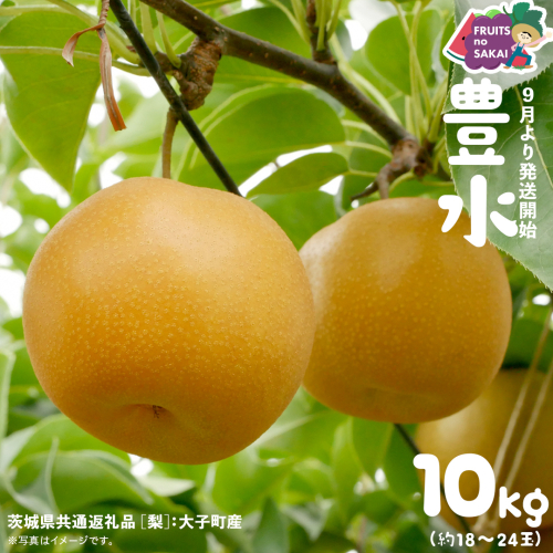 豊水 梨 10kg （18～24玉）【2026年9月より発送開始】（茨城県共通返礼品 [梨]：大子町産） なし 旬 お取り寄せ フルーツ 甘い ジューシー 和梨 時期 [FC06-NT] 2260662 - 茨城県つくばみらい市