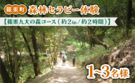 篠栗町森林セラピー体験1～3名様【篠栗九大の森コース（約2km/約2時間）】FZ005 | 森林 セラピー ハイキング 自然 体験 森 観光 四国八十八ヶ所霊場 お遍路 篠栗町