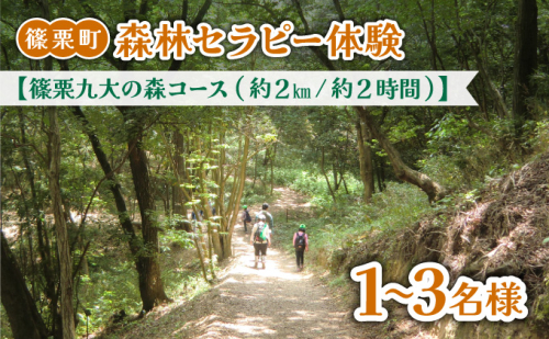 篠栗町森林セラピー体験1～3名様【篠栗九大の森コース（約2km/約2時間）】FZ005 | 森林 セラピー ハイキング 自然 体験 森 観光 四国八十八ヶ所霊場 お遍路 篠栗町 2260668 - 福岡県篠栗町
