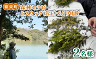 森林セラピー＆スワッグ（苔玉）づくり体験2名様 FZ006 | 森林 セラピー ハイキング 自然 体験 森 観光 四国八十八ヶ所霊場 お遍路 健康 手作り体験 ワークショップ 篠栗町