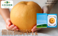 備前横綱梨 1玉箱 赤秀 (1～1.5kg玉）【先行予約 2026年11月中旬から順次発送】