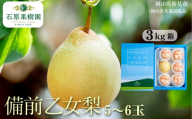 備前乙女梨 3kg箱 赤秀 5～6玉入り 【先行予約 2026年11月中旬から順次発送】