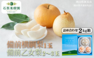 詰め合わせ 2kg箱 赤秀 備前横綱梨1玉(1～1.5kg玉)・備前乙女梨2～3玉 【先行予約 2026年11月中旬から順次発送】