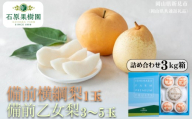詰め合わせ 3kg箱 赤秀 備前横綱梨1玉(1～1.5kg玉)・備前乙女梨3～5玉 【先行予約 2026年11月中旬から順次発送】