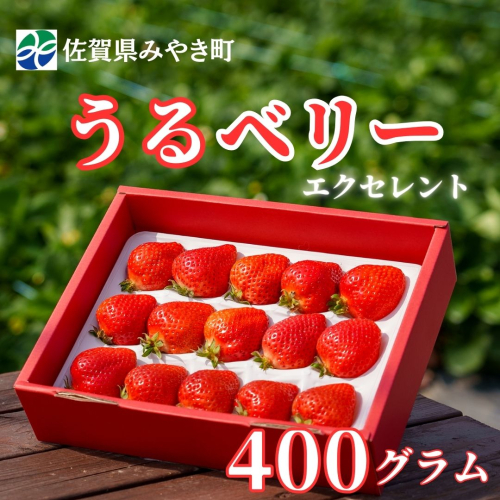 GF003_【2026年12月～4月発送】エクセレント400ｇ 2260876 - 佐賀県みやき町