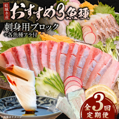 【3ヶ月定期便】(冷蔵)結城水産おすすめ！お刺身用ブロック N015-YD0239 2260877 - 宮崎県延岡市