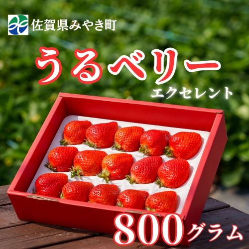 GF004_【2026年12月～4月発送】エクセレント800ｇ 2260878 - 佐賀県みやき町