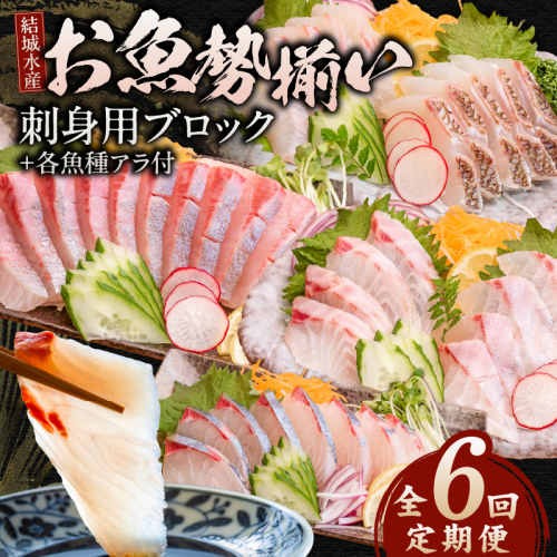 【6ヶ月定期便】(冷蔵)結城水産のお魚勢ぞろい！お刺身用ブロック N015-YF092 2260879 - 宮崎県延岡市