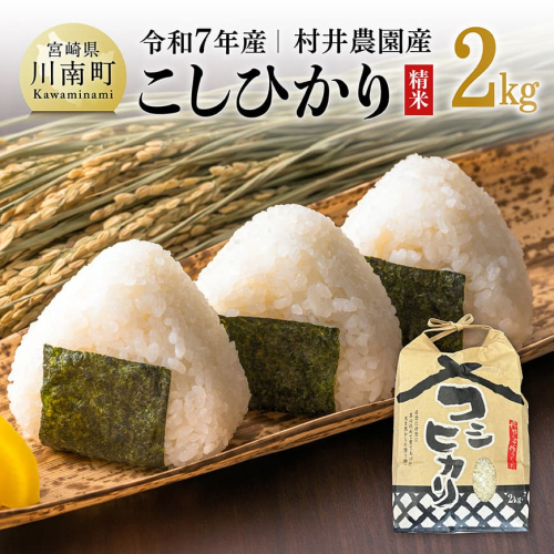 【令和7年産】宮崎県産米　村井農園産こしひかり（精米）2kg 【 米 お米 白米 精米 こしひかり 国産 宮崎県産 おにぎり 】 2260880 - 宮崎県川南町