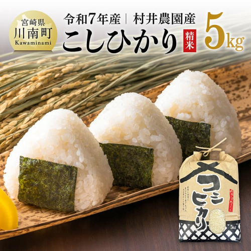 【令和7年産】宮崎県産米　村井農園産こしひかり（精米）5kg 【 米 お米 白米 精米 こしひかり 国産 宮崎県産 おにぎり 】 2260881 - 宮崎県川南町