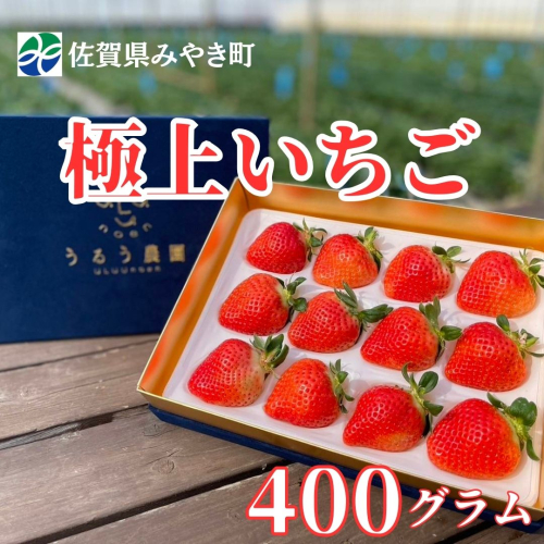 GF005_【2026年12月～4月発送】極上いちご 400ｇ 2260882 - 佐賀県みやき町
