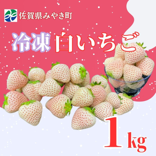 GF007_【2026年6月以降発送】冷凍白いちご1kg 2260884 - 佐賀県みやき町