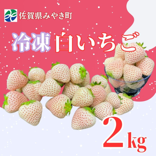 GF008_【2026年6月以降発送】冷凍白いちご2kg 2260885 - 佐賀県みやき町