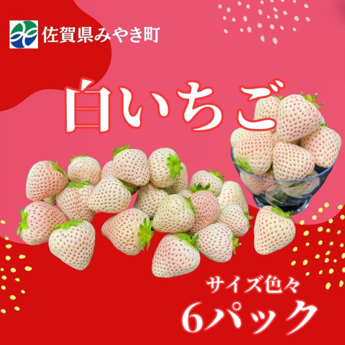 GF011_【2026年12月～4月発送】白いちごサイズ色々6パック 2260950 - 佐賀県みやき町