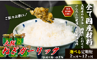 大阪ねぎガーリック ねぎ塩だれ 1個 定期便3回 難波ねぎ タレ ごはんのお供 調味料 簡単便利 お米 肉 と一緒に BBQ 焼肉 魚 ソース 常温保存 しゃぶしゃぶ 焼き肉 ほぼ無添加 大阪 松原