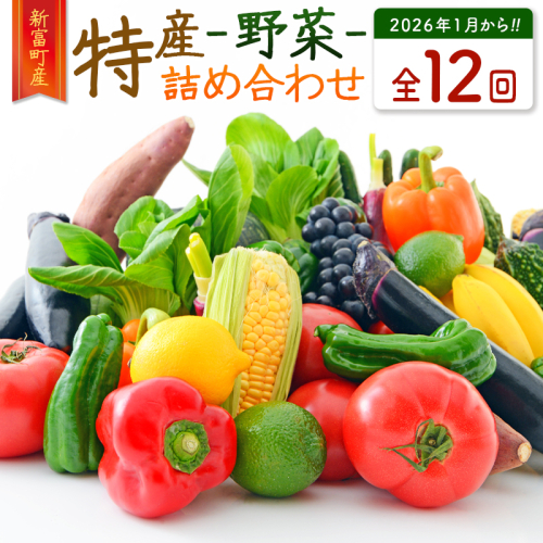 ＜数量限定＞新富町 特産 野菜 詰め合わせ 定期便 12か月コース 旬 やさい 国産 ≪2026年1月配送開始≫【G51-26】 2261387 - 宮崎県新富町